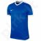 Marškinėliai futbolui Nike Striker IV M 725892-463