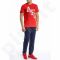 Marškinėliai Puma AFC Arsenal Fun Tee M 746944011