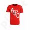 Marškinėliai Puma AFC Arsenal Fun Tee M 746944011