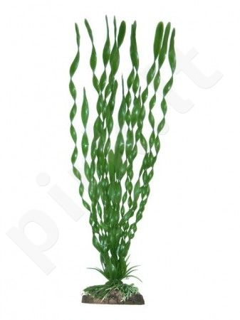 Plastikinis augalas VALISNERIA didelis
