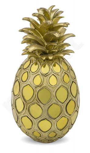 Dekoracinis Ananasas