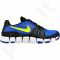 Sportiniai batai  Nike Flex Show TR 3 M 684701-402 Q3
