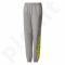 Sportinės kelnės adidas Essentials Linear Pants Junior CE8825