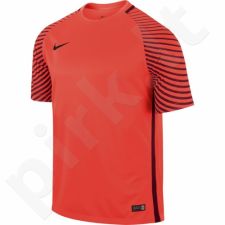 Marškinėliai vartininkams Nike Gardien M 725889-671