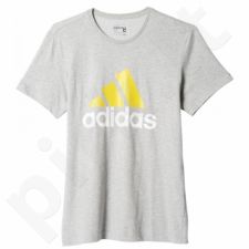 Marškinėliai Adidas Sport Essentials Logo M AY6232