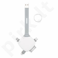 USB jungtis Quatro (4 antgaliai)