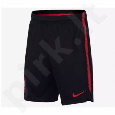 Šortai Nike Polska Dry Squad Junior 893825-010