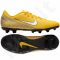 Futbolo bateliai  Nike Mercurial Vapor 12 Club Neymar MG M AO3129-710