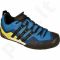 Sportiniai bateliai Adidas  Terrex Swift Solo M BA8491