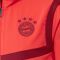 Bliuzonas  adidas Bayern Monachium Presentation 19/20 Jacket M DX9178