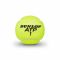Lauko teniso kamuoliukai ATP CHAMPIONSHIP 3-tube