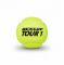 Lauko teniso kamuoliukai TOUR BRILLIANCE 4-tube