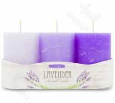 Violetinė Levandų žvakė Pack 3