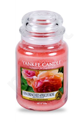 Yankee Candle Sun-Drenched Apricot Rose, aromatizuota žvakė moterims ir vyrams, 623g