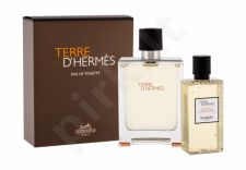 Hermes Terre D´Hermes, rinkinys tualetinis vanduo vyrams, (EDT 100 ml + dušo želė 80 ml)