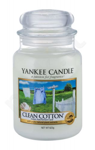 Yankee Candle Clean Cotton, aromatizuota žvakė moterims ir vyrams, 623g