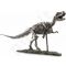 Figūrėlė Dinozauras 105302
