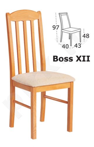 Kėdė BOSS XII