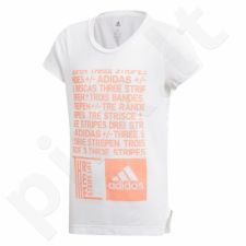 Marškinėliai adidas YG TR Graph Tee Junior DJ1061
