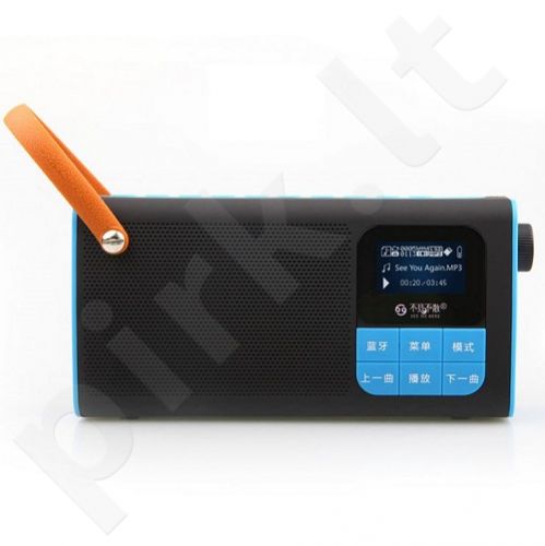 Portable Wireless Bluetooth speaker with FM Radio, 3W